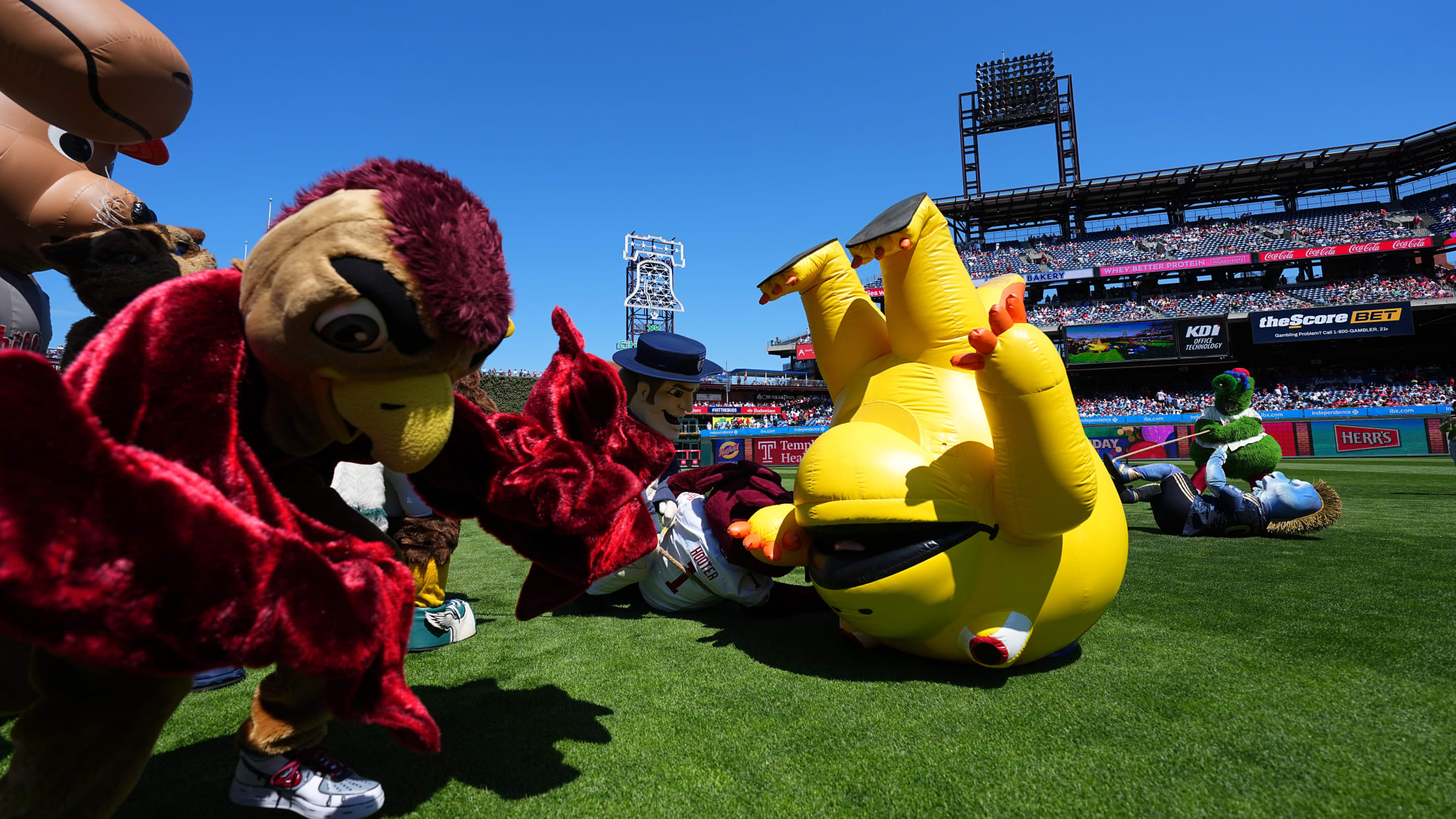 Phanatic_Birthday11583