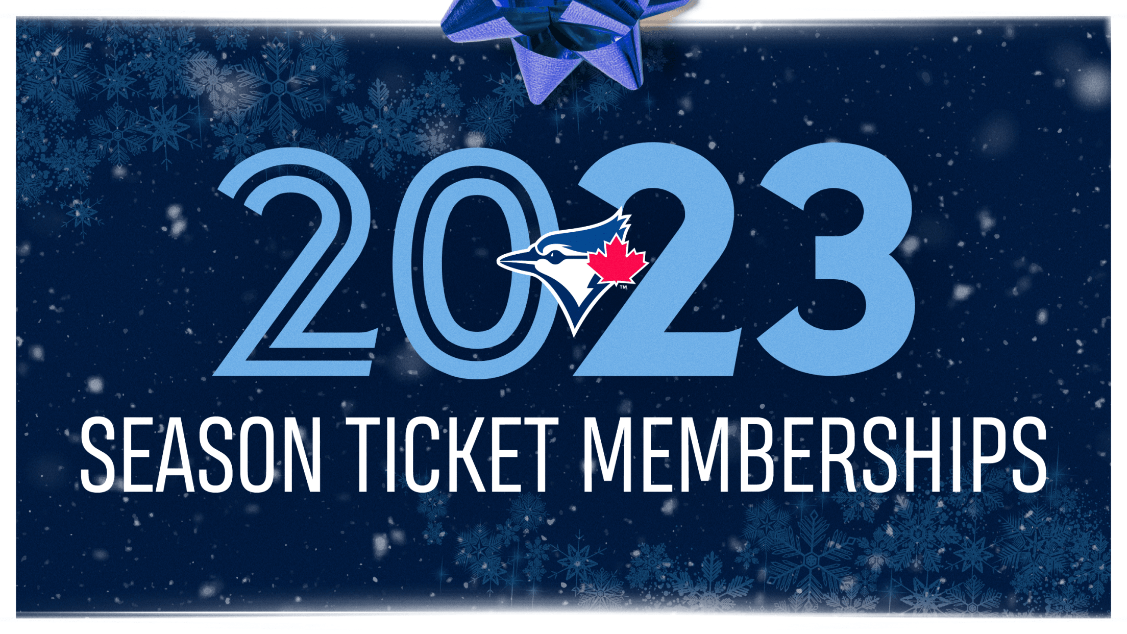 Blue Jays Holiday Gift Guide