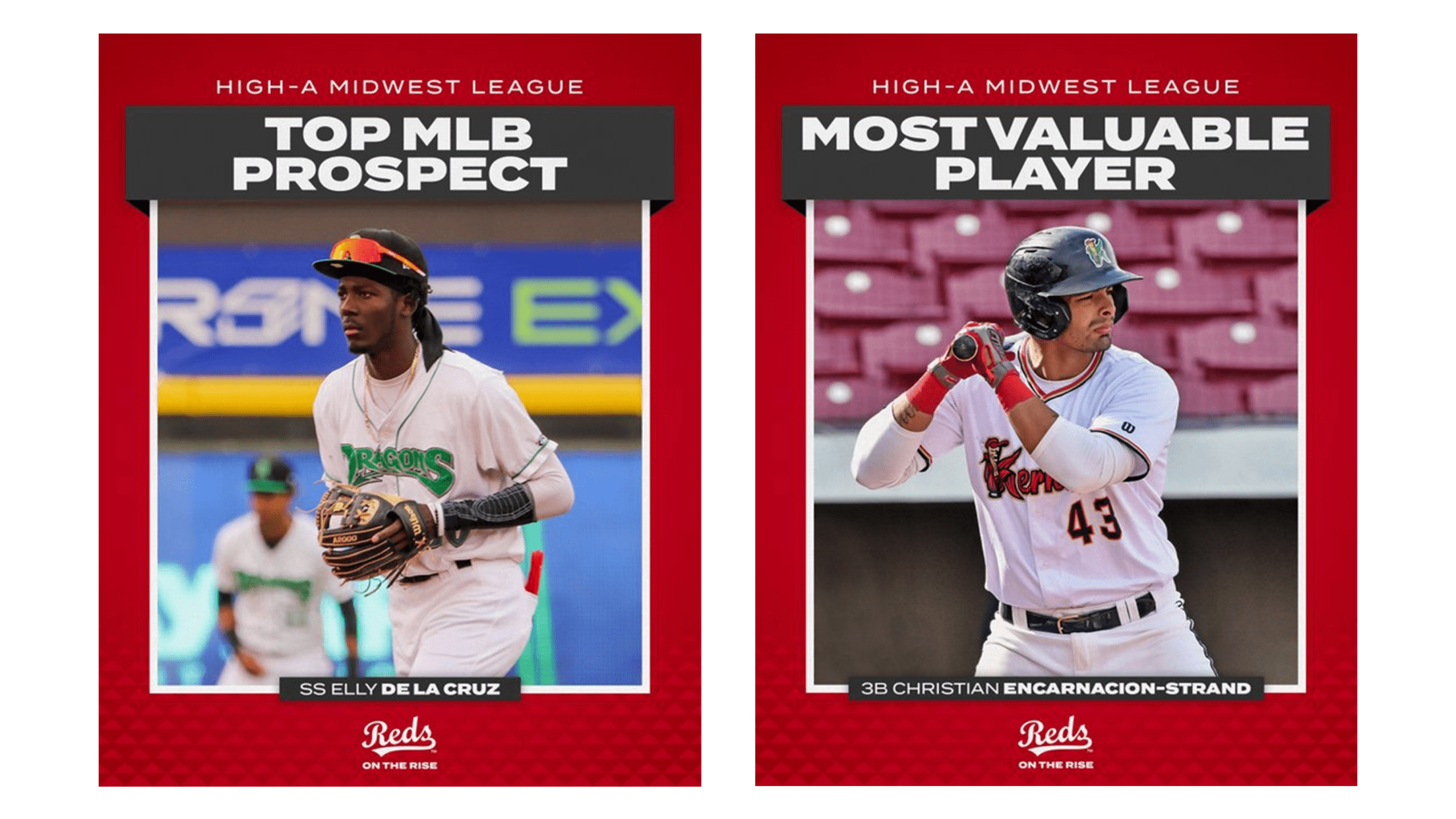 Reds Pipeline Cincinnati Reds