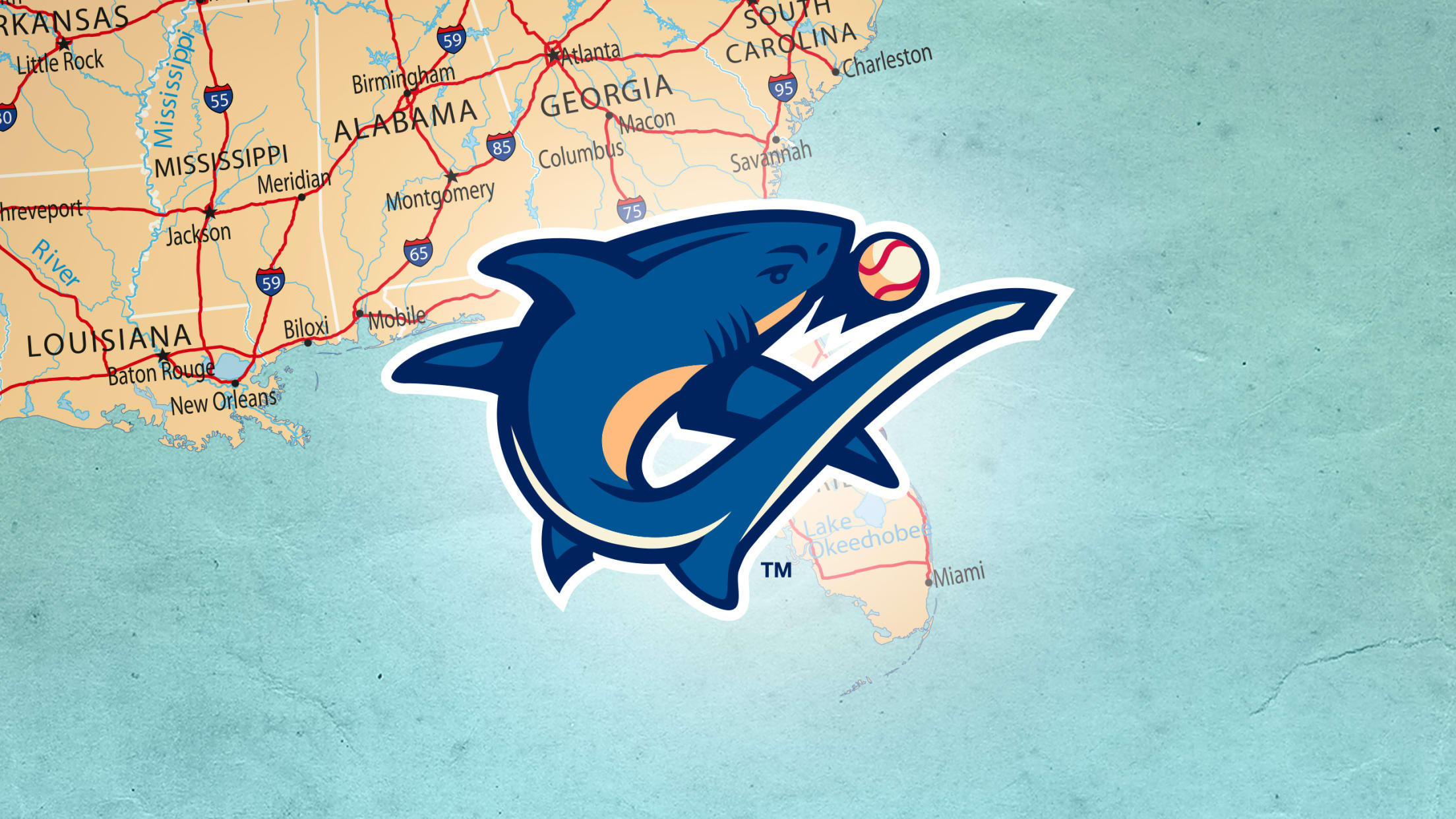 Miami Dolphins - Our 50/50 Raffle is now LIVE! Proceeds