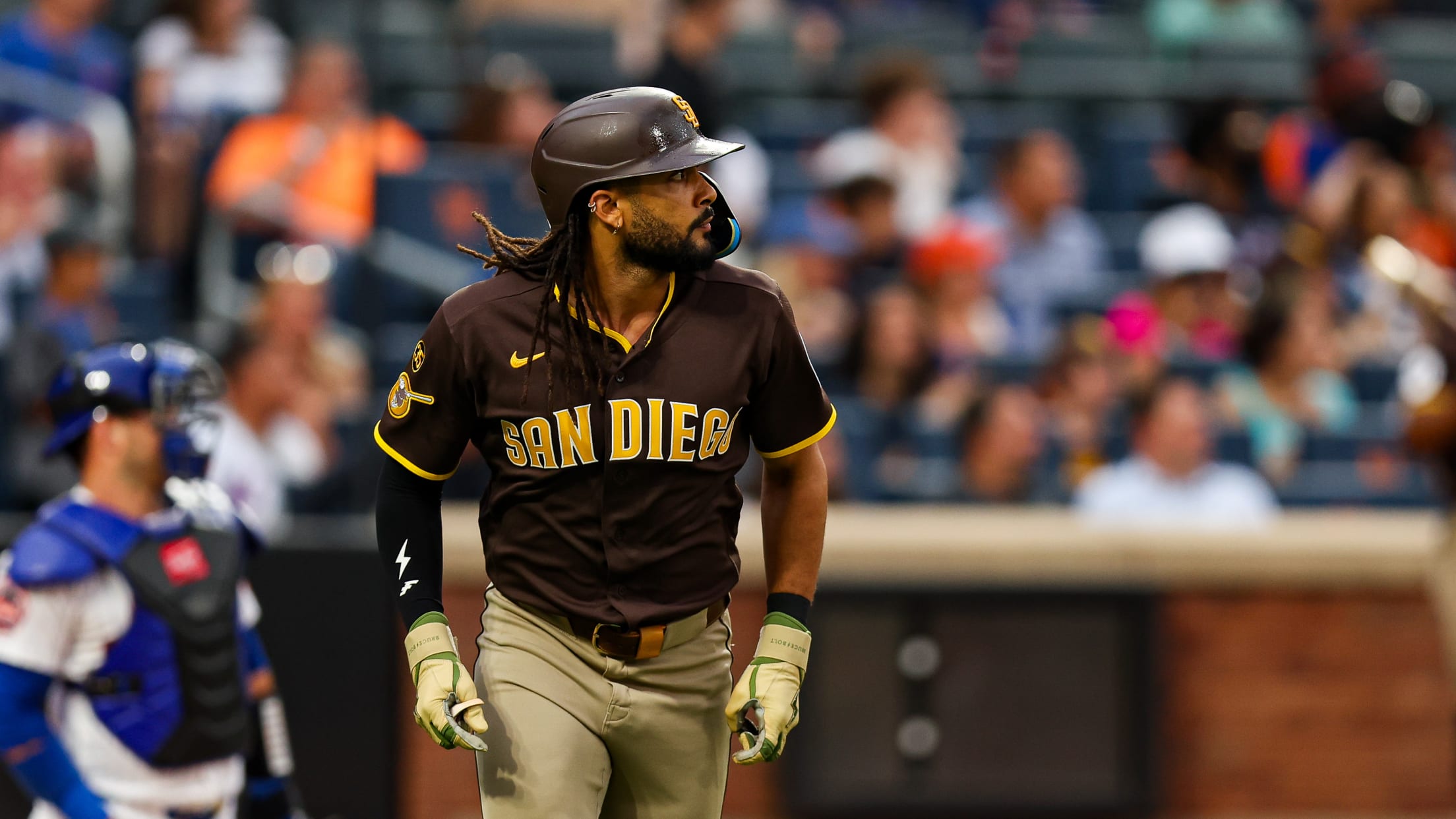 Fernando Tatis Jr.'s solo home run (14)