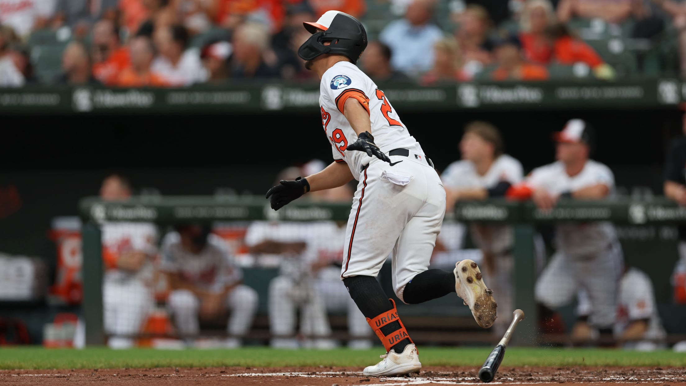 BAL-InFocus-080124-098