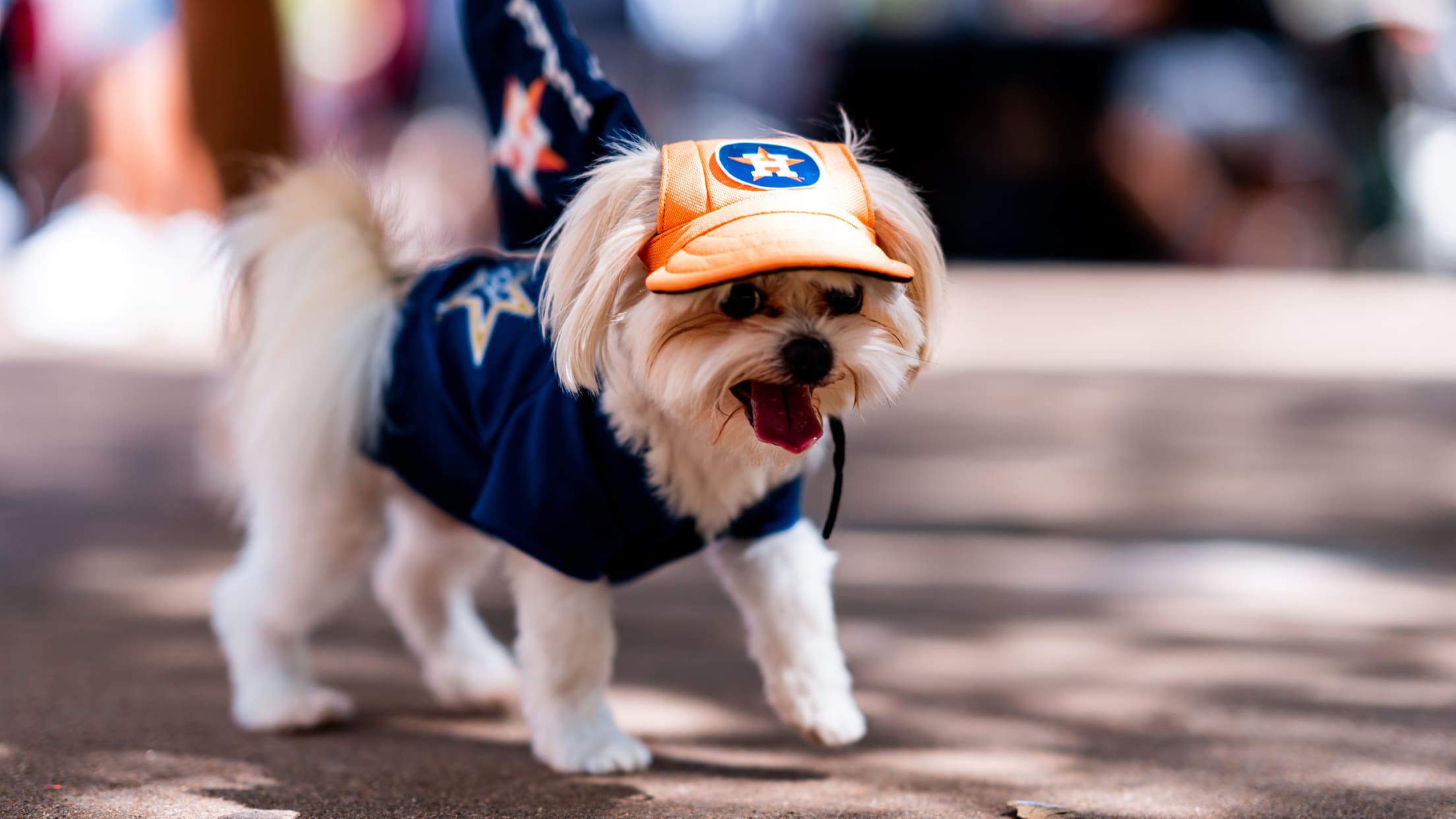 Pets First MLB Baseball Houston Astros Dog & Cat Jersey - XX-Large