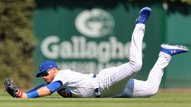 Ian Happ: Chicago Cubs left fielder wins Gold Glove