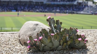 Exhibition games start Feb. 24 as MLB hopes for normal spring training