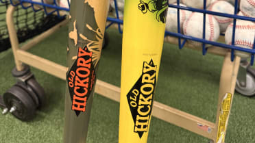 mlb.com - Brandon Lowe's farming future part of how Pirates will celebrate Players' Weekend