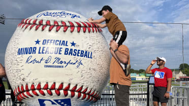 MLBサイン アンドリュー・マッカチェン サインボール ゴールドグラブ賞