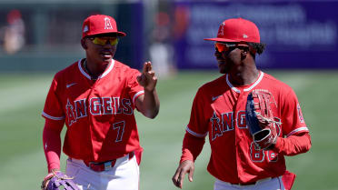 mlb.com - Rhett Bollinger - Angels' farm is winning at every level, and these are the prospects behind it