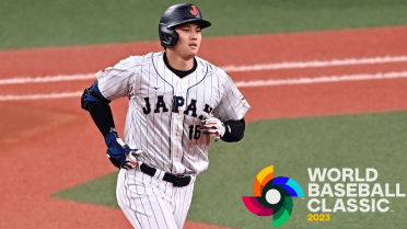 There's a world of interest in this year's World Baseball Classic