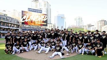 San Diego Padres fans celebrate clinching a Wildcard playoff spot: I'm  gonna cry again it's really happening, It's a great day to be a Padres  fan