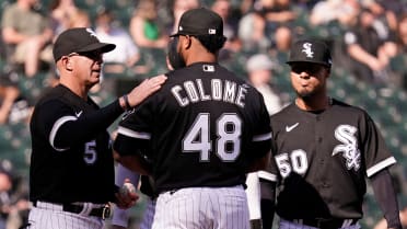 Healthy leads and trusty steeds: Chicago White Sox 12, Minnesota Twins 2 -  South Side Sox