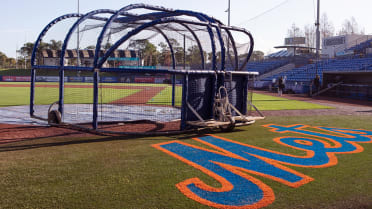 Baseball is Back at Clover Park - Mets Open Workouts Have Begun