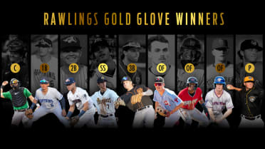 2022 Gold Glove Winners