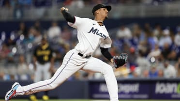 Eury Perez shows potential in MLB debut but Marlins fall to Reds to start  series, National Sports