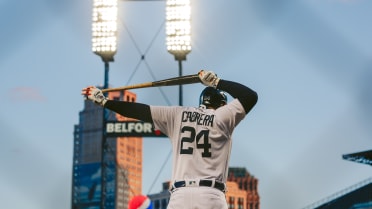 Detroit Tigers planning on 'significant' upgrades to Comerica Park ahead of  next MLB season