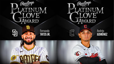 Platinum store gold glove