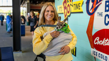 mlb.com - Paige Schector - Baby kangaroo steals hearts instead of bases at Rangers' High-A affiliate game