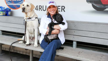 Mets' service dog, Seaver, joins MLB Central! 