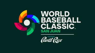 使用済みMLB TOKYO SERIES 2025 WBC 2026 チケット 2026 ワールドベースボールクラシック 東京プール presented by