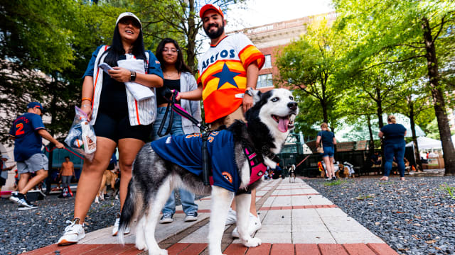 Dogs wait to enter the ball park for Astros Dog Day at Minute Maid News  Photo - Getty Images