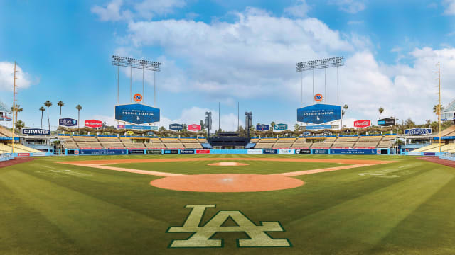 Rawlings MLB Los Angeles Dodgers Stadium Baseball | Rawlings