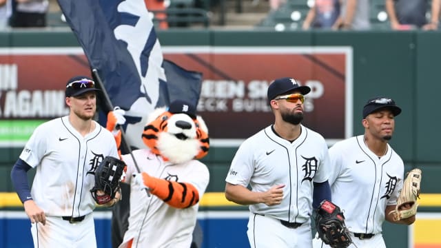 Tigers midterm report 2025