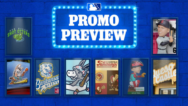 Best Minor League promos in June 2025 in Baseball Traveler's promo preview