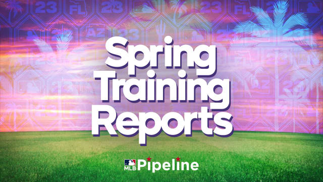 Prospect reports from Spring Training camps