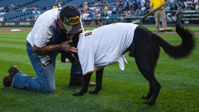Pittsburgh Pirates have a team dog; Vote on the name for the