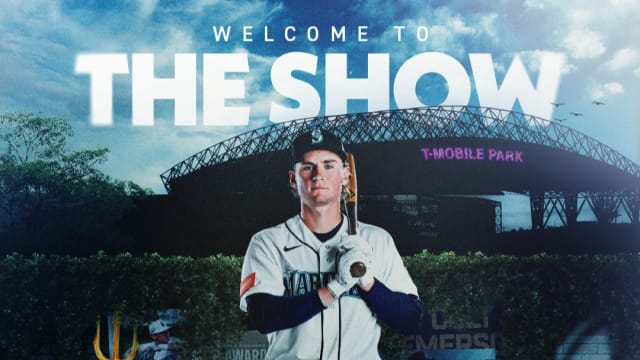 mlb.com - VEG ER for Pets named Official Animal Hospital of the Boston Red Sox