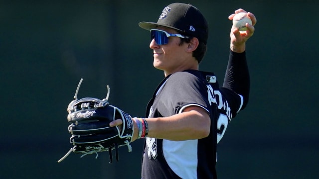 Who will be the White Sox next Minor League star?