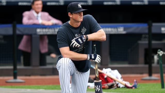 DJ LeMahieu hit a double that was totally eaten by Wrigley Field's
