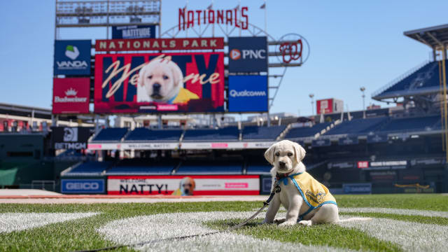 mlb.com - WHOOP Named Official Health and Fitness Wearable of the Boston Red Sox