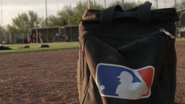 MLB's global appeal on display during International College Showcase