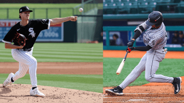 Schultz, Montgomery to represent Sox at MLB Futures Game