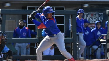 These Cubs prospects could crack the Top 100 soon