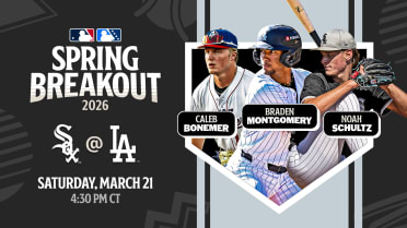 Here's the White Sox player pool for their Spring Breakout game