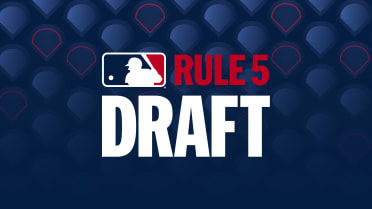Everything to know about Wednesday's Rule 5 Draft