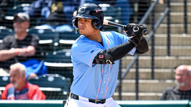 Another path to MLB for Velazquez and Ingle? Prospects see time in OF