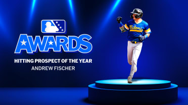 Brewers' Fischer named Hitting Prospect of the Year after historic campaign