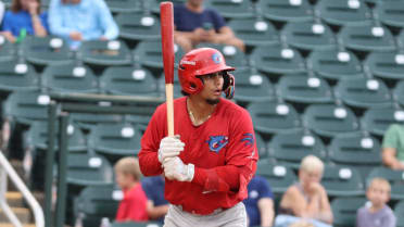 Phillies catching prospect sheds past injuries for breakout offensive campaign