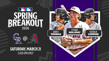 Here's the Rockies' player pool for their Spring Breakout game