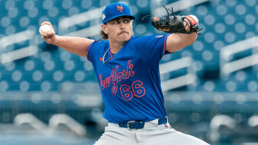 Mets call up No. 20 prospect Ross for bullpen boost