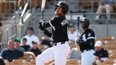 Top White Sox prospect Montgomery (small foot fracture) likely out until Fall League