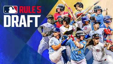 20 prospects who could get taken in Wednesday's Rule 5 Draft