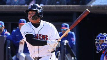 Tigers add 5 prospects to 40-man roster, DFA 6 relievers