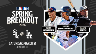 Here's the White Sox player pool for their Spring Breakout game