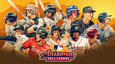 Here are 11 top prospects we could see in the Arizona Fall League