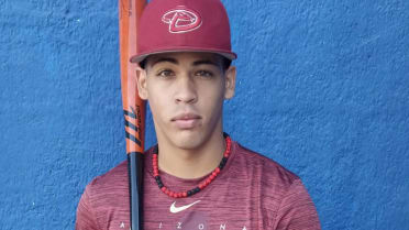 D-backs make DR outfielder De La Cruz top international signing