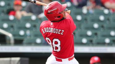 Just 19 years old, Cards No. 2 prospect Rodriguez hits first Double-A homer